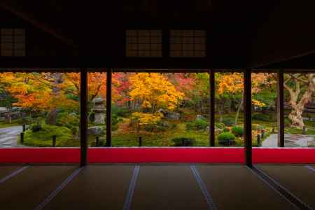 圓光寺　紅葉特別拝観