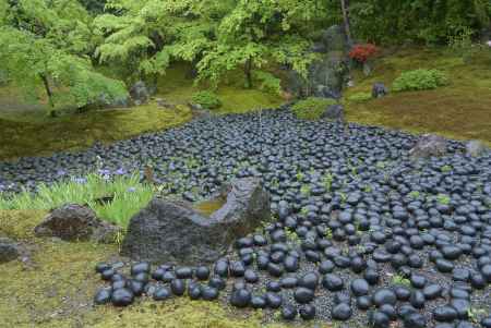 宝厳院　春の特別公開