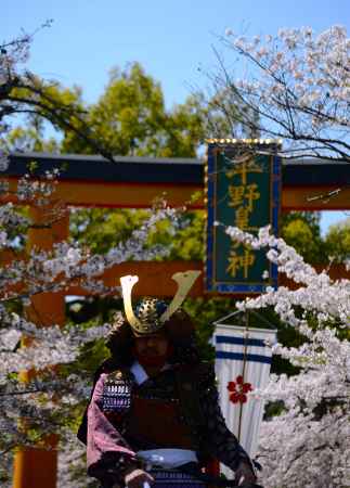 桜花祭