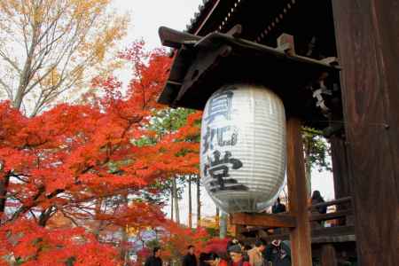 十日十夜別時念仏会（お十夜）