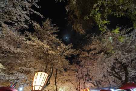 平野神社のライトアップ
