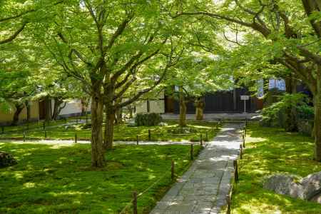 大徳寺塔頭 黄梅院 春の特別公開