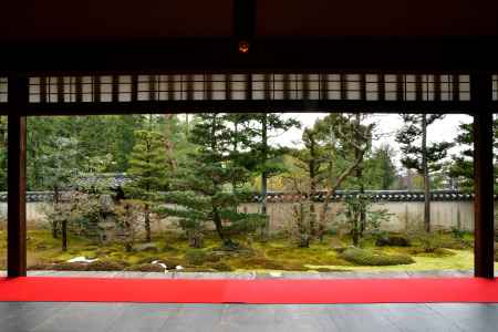 妙心寺 大雄院 特別拝観（開催中止）