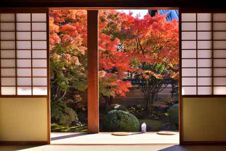 妙顕寺 秋の 特別拝観