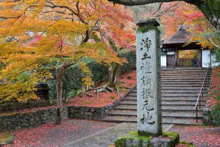 法然院 秋季 伽藍内特別公開