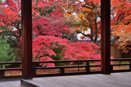 宝鏡寺 秋の人形展