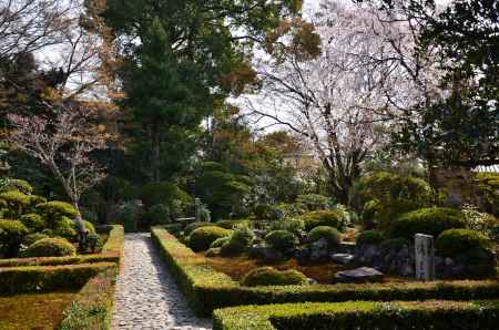 安楽寺 春の特別公開