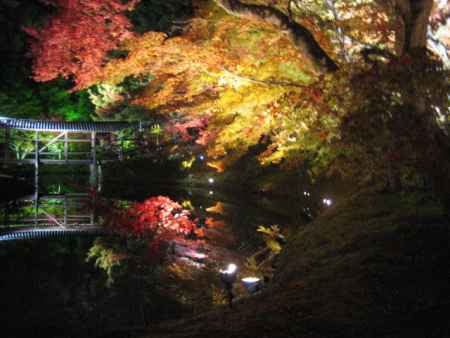 高台寺 秋の特別拝観・ライトアップ