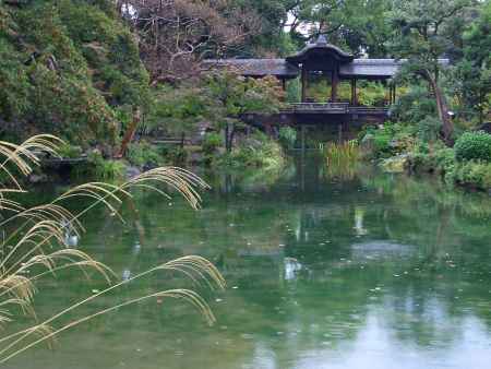 夜間特別拝観「渉成園 秋灯り」