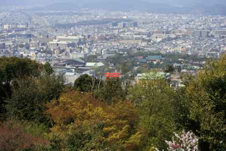 将軍塚青龍殿 ライトアップ（開催中止）