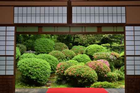 安楽寺　春の特別公開