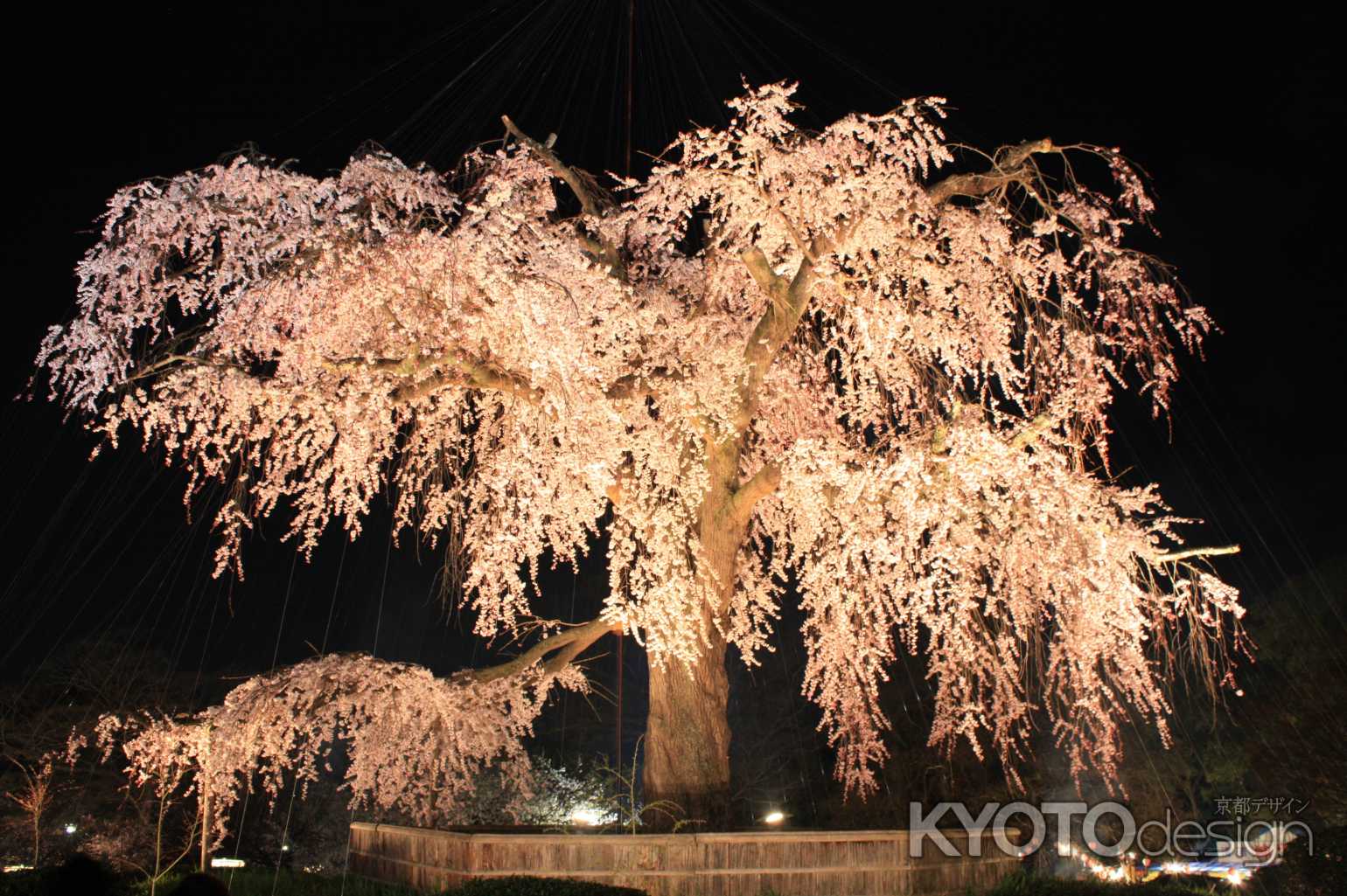 円山公園