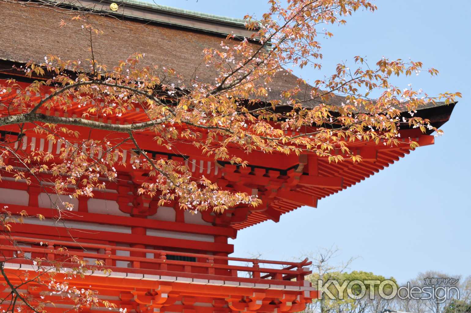 下鴨神社