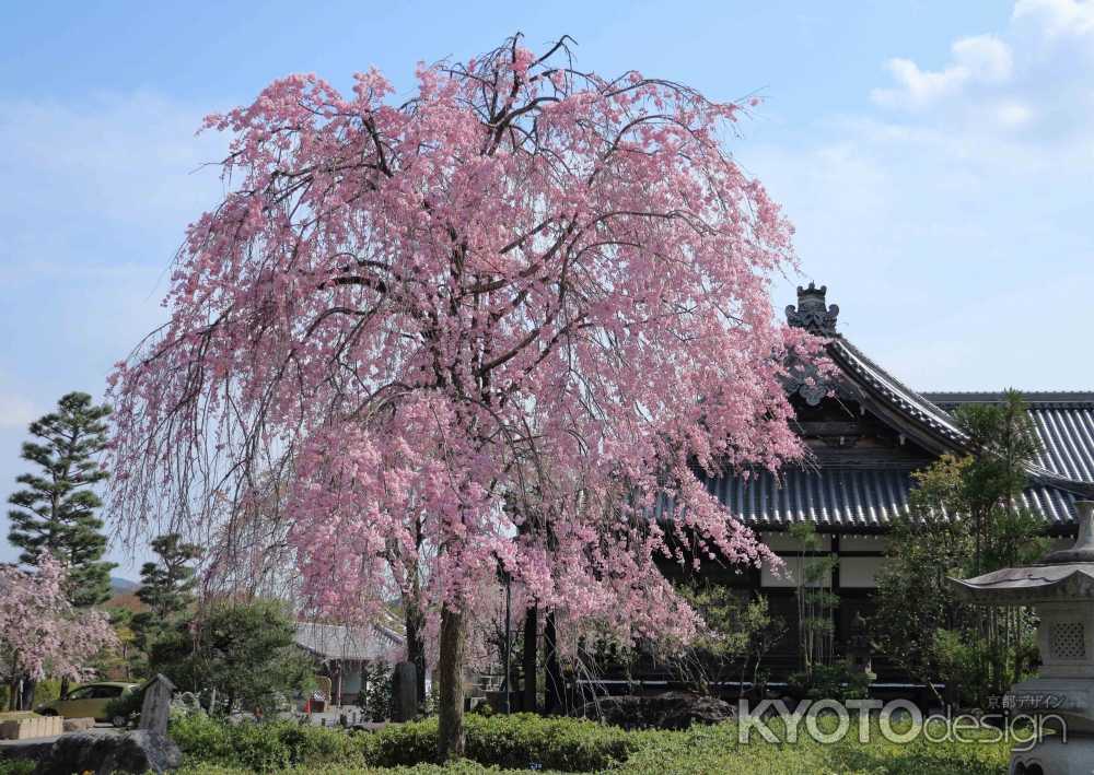 妙満寺