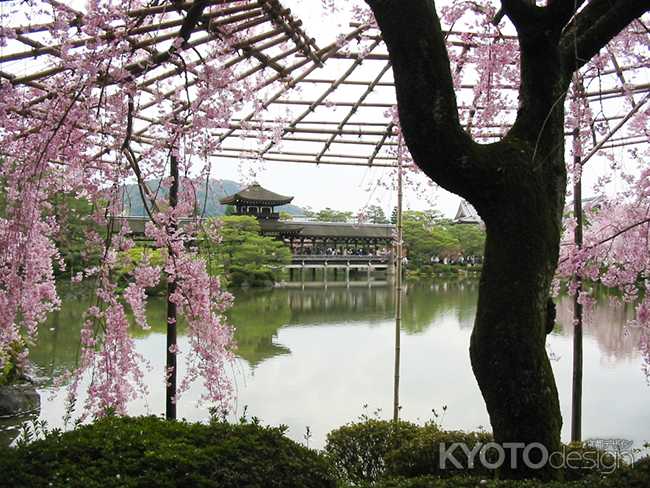 平安神宮