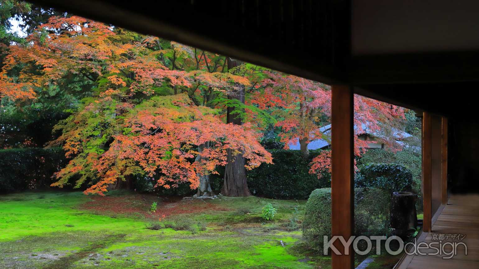 圓通寺