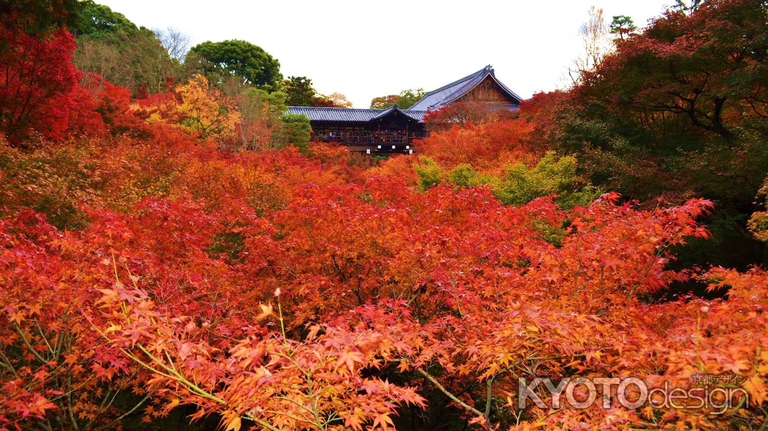 東福寺