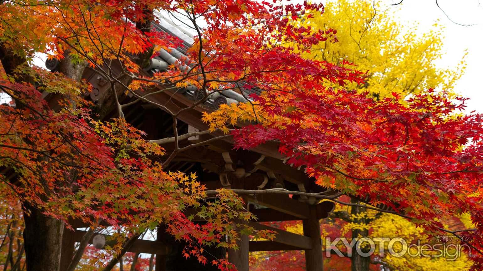 常寂光寺