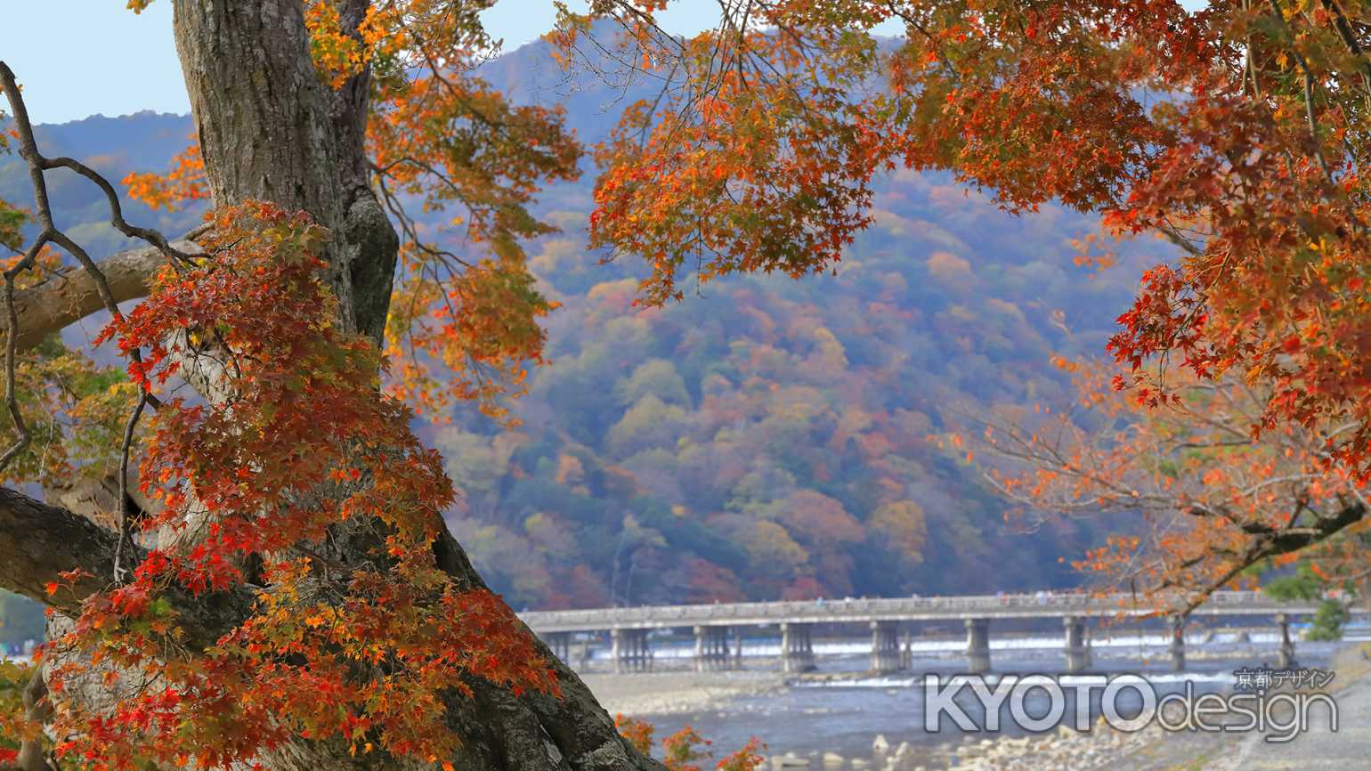 渡月橋