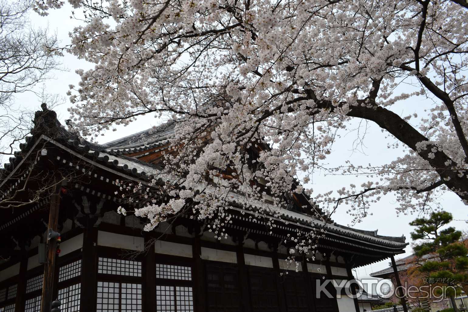 本隆寺