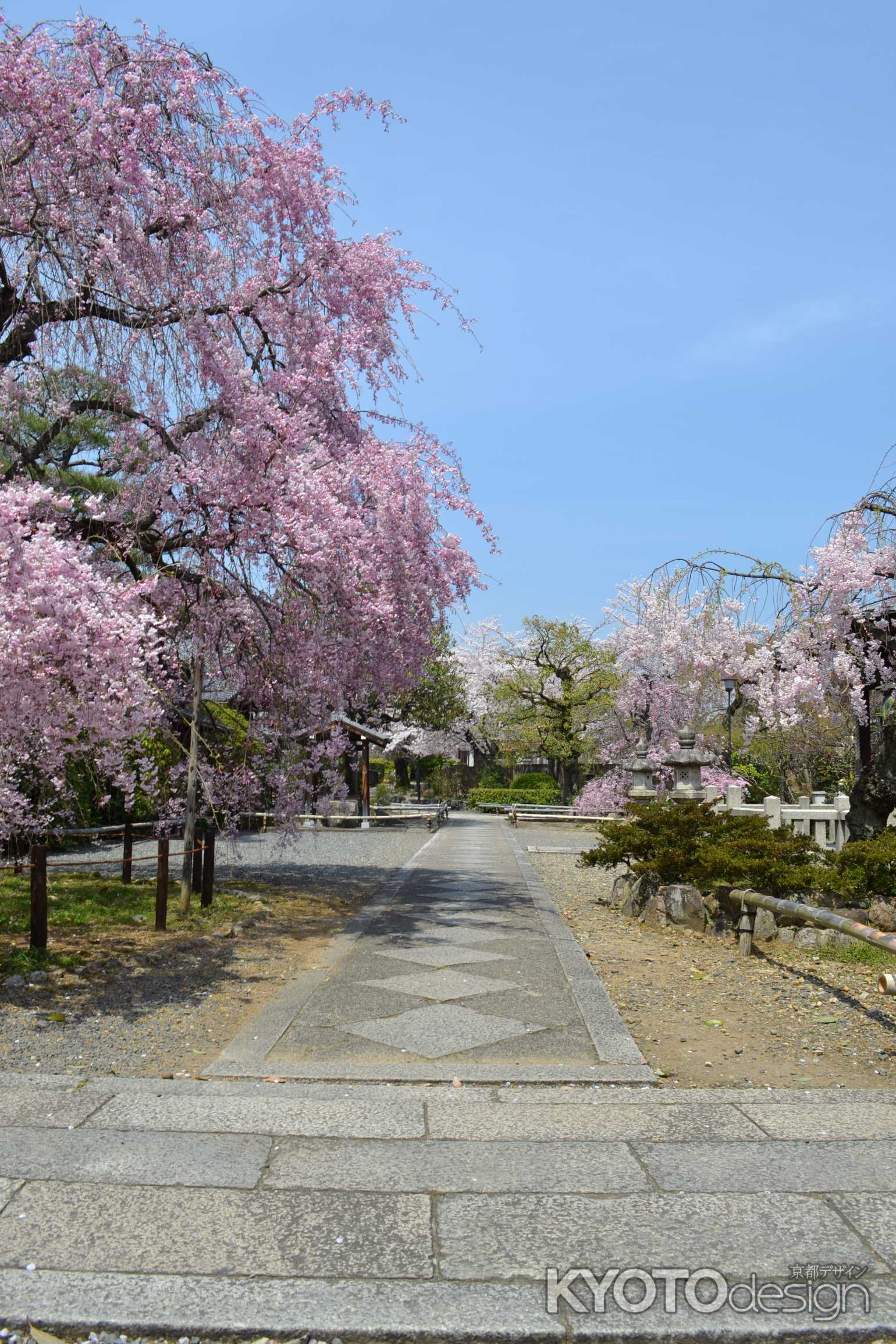 上品蓮台寺