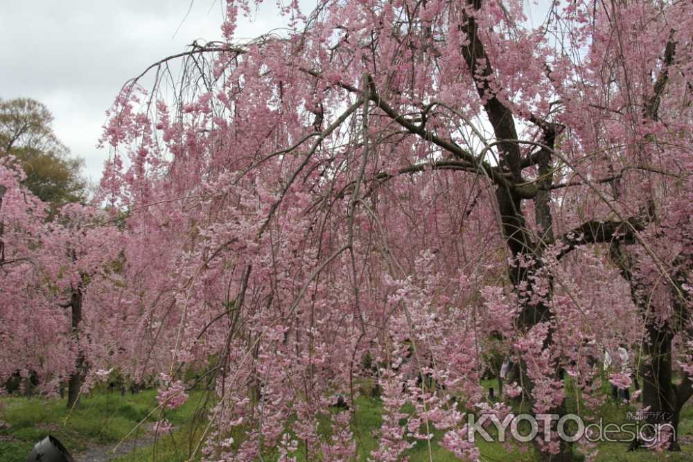 京都府立植物園