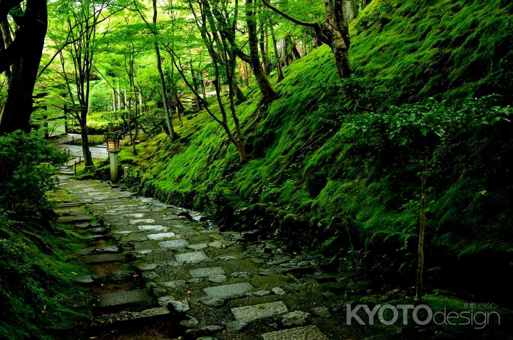 常寂光寺