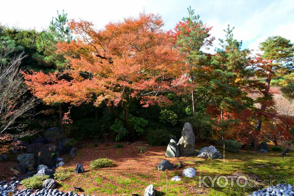 宝厳院