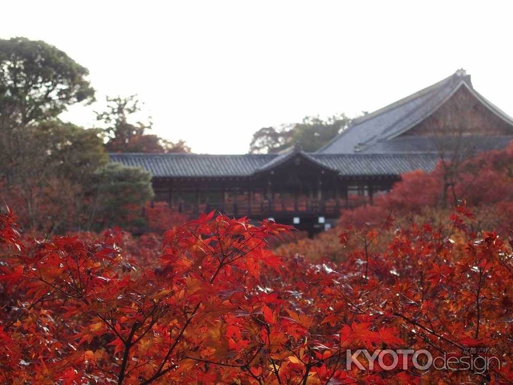 東福寺