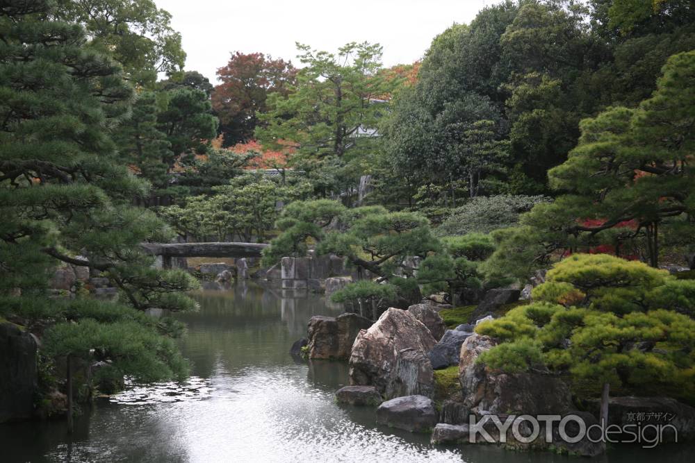 二条城の庭園の池