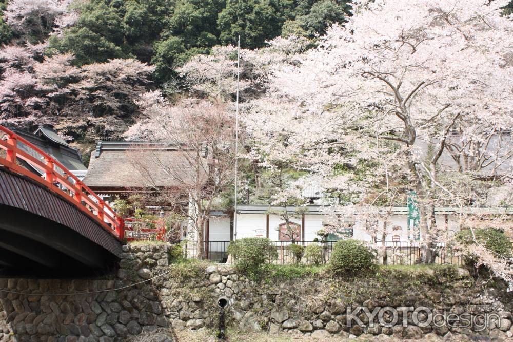 桜と橋