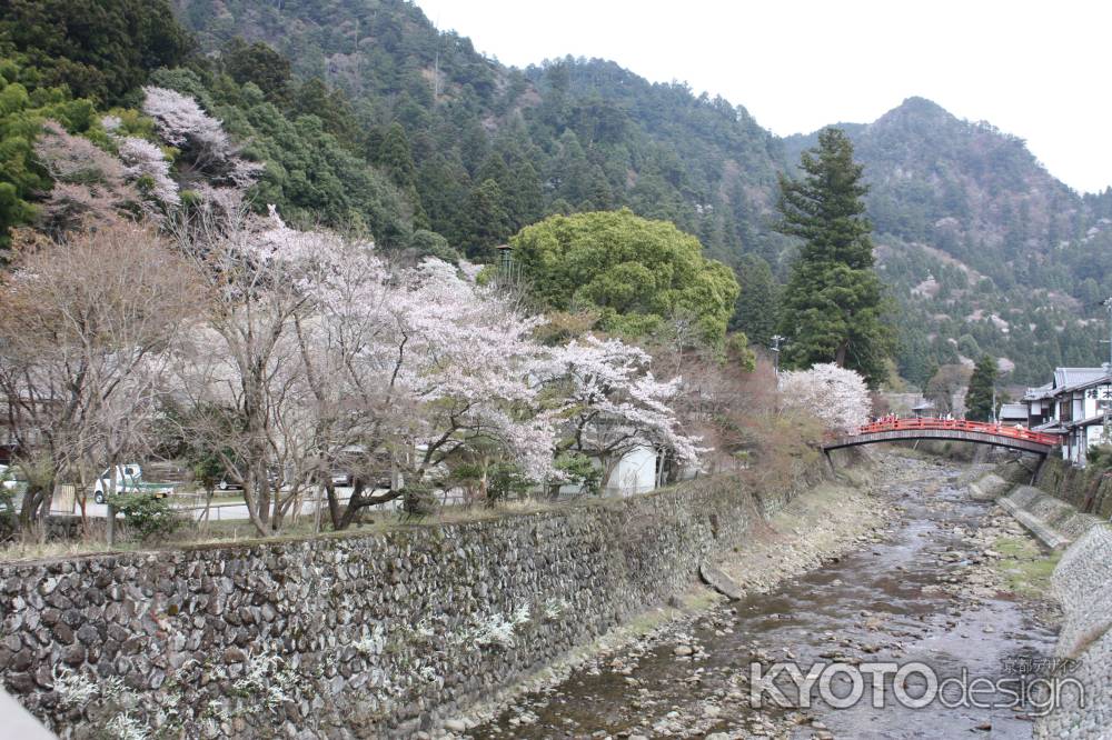 桜の見える風景