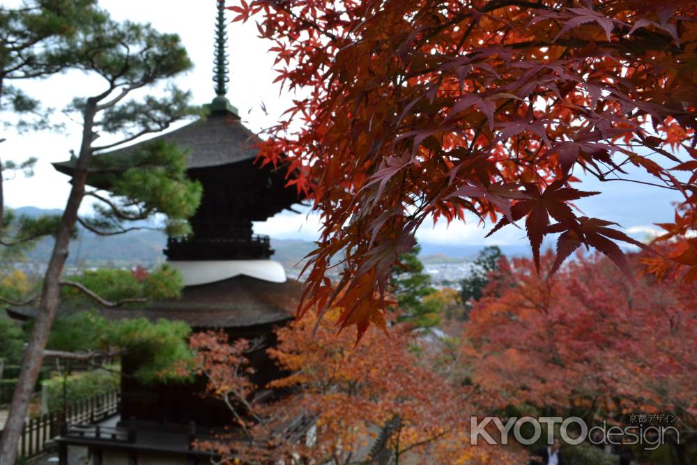 常寂光寺の紅葉