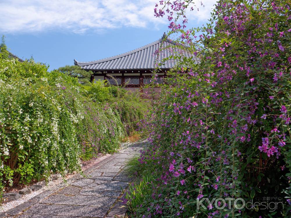 常林寺の萩