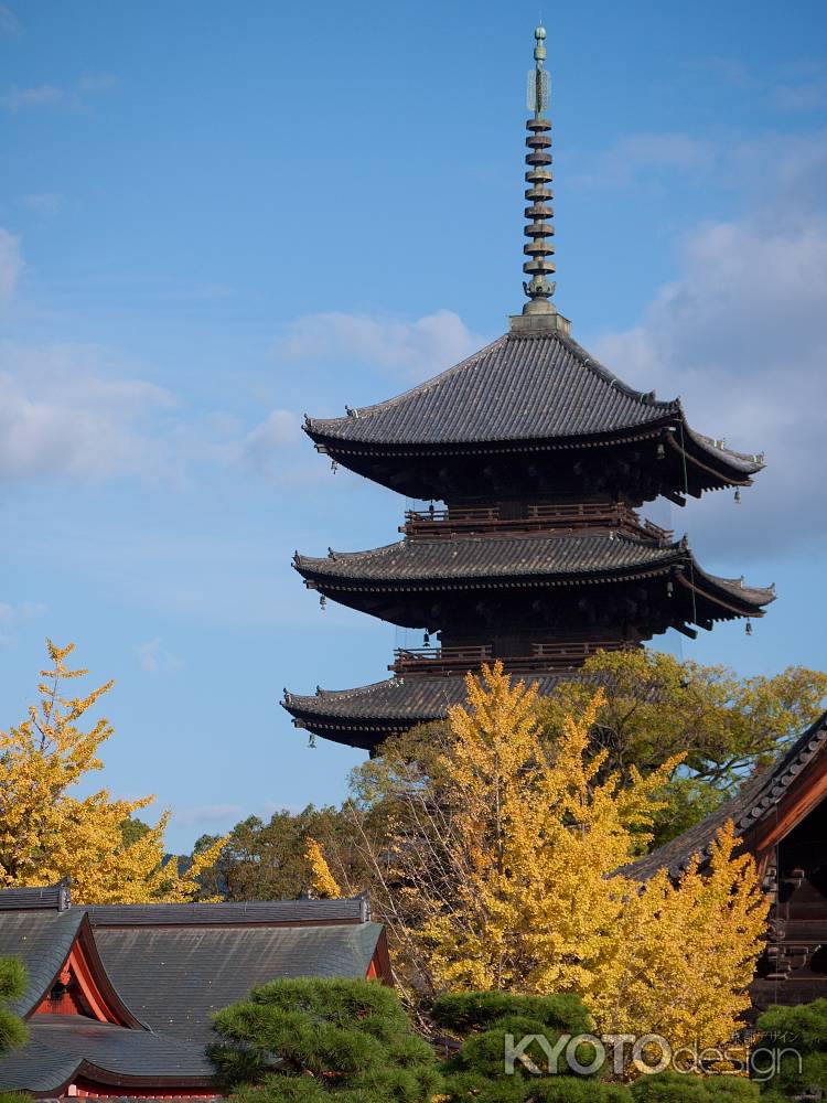 東寺五重塔と銀杏