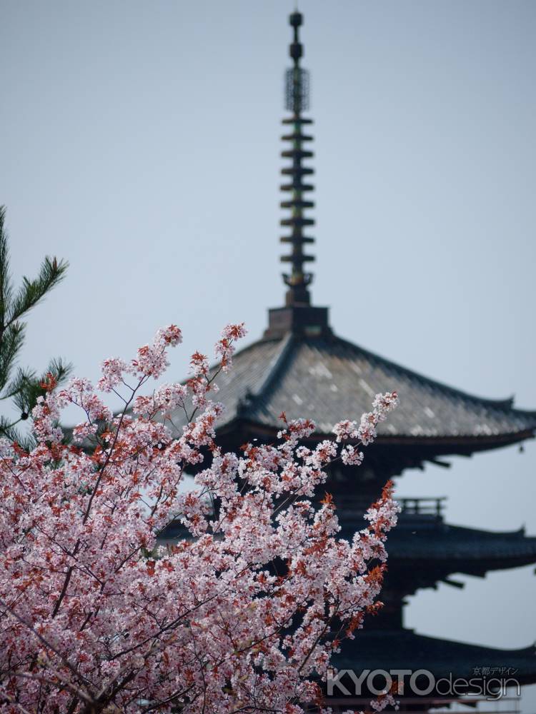 法観寺の五重塔の相輪遠望