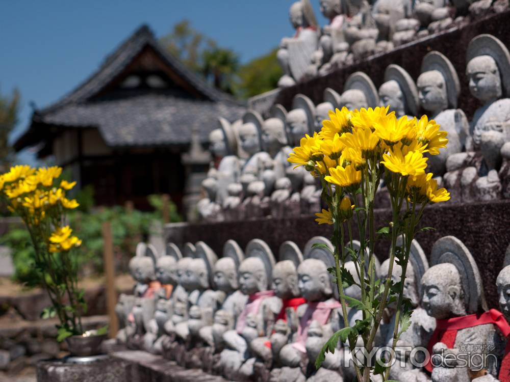 春の乙訓寺