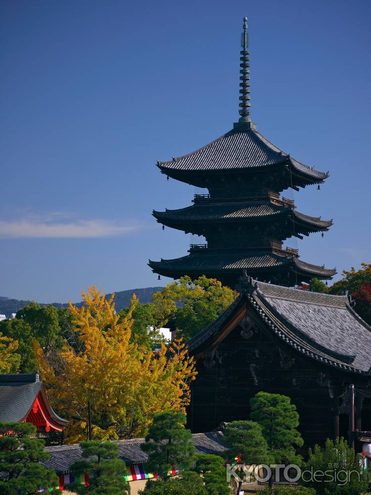 東寺の五重塔と銀杏