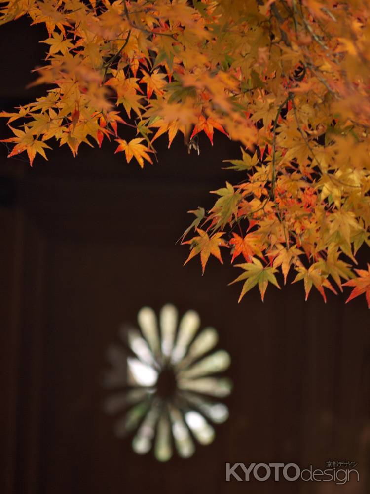 一休寺の菊花の紋章を彩る紅葉