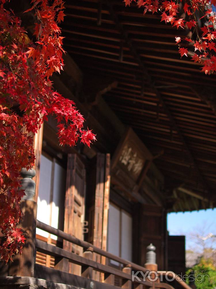 観音寺(山崎聖天)の紅葉