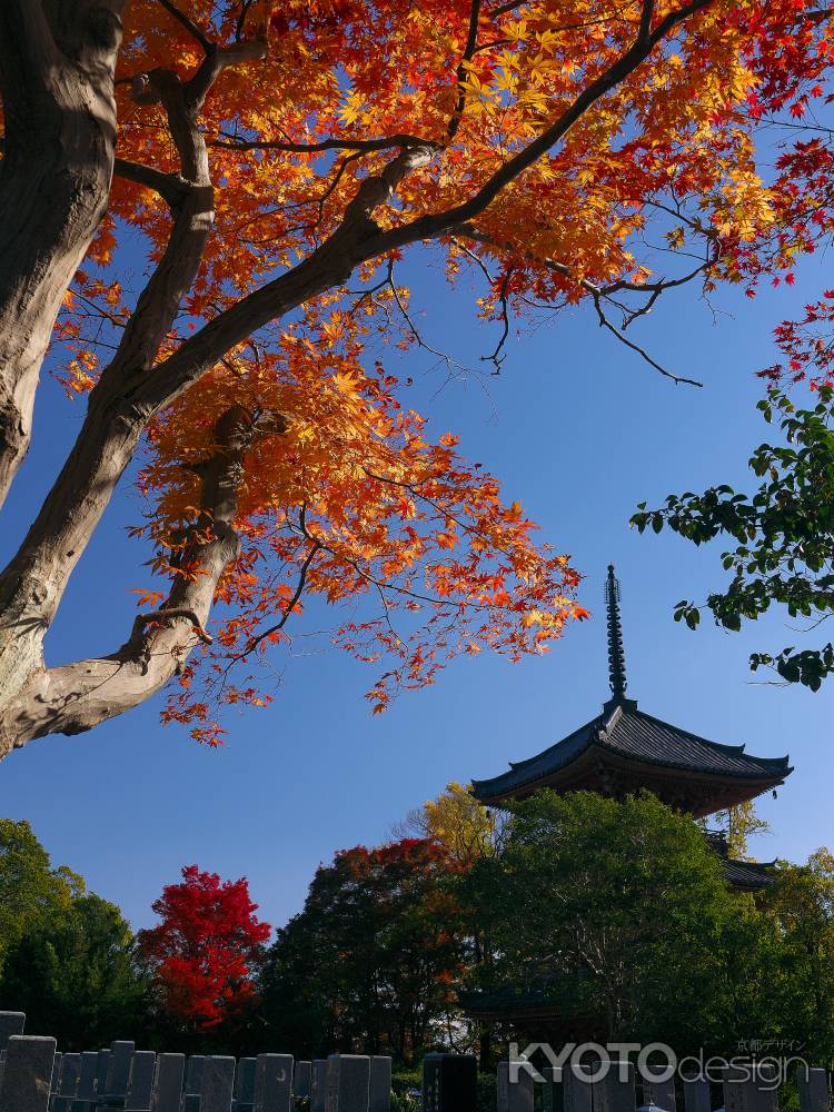 宝積寺三重塔と紅葉