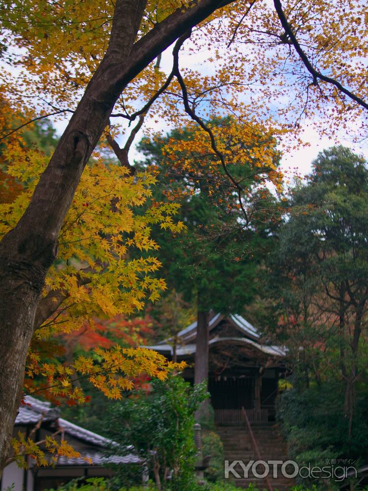 来迎院紅葉と荒神堂