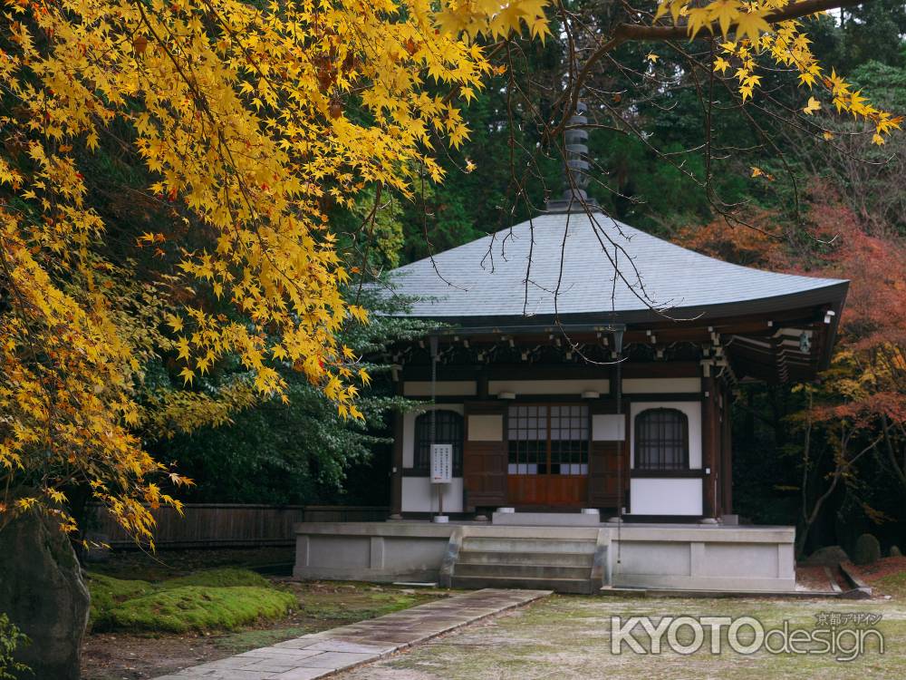 洛陽観音寺（善能寺）の紅葉