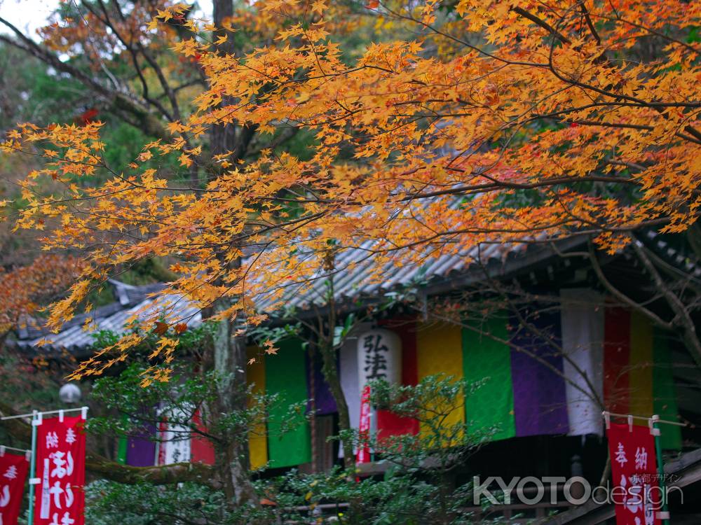 今熊野観音寺大師堂と紅葉