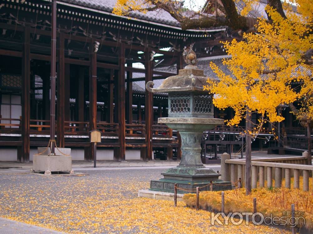 西本願寺御影堂と逆さ銀杏