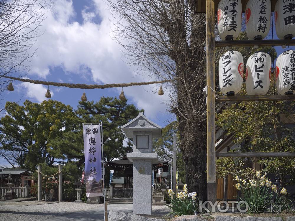 與杼神社の水仙2