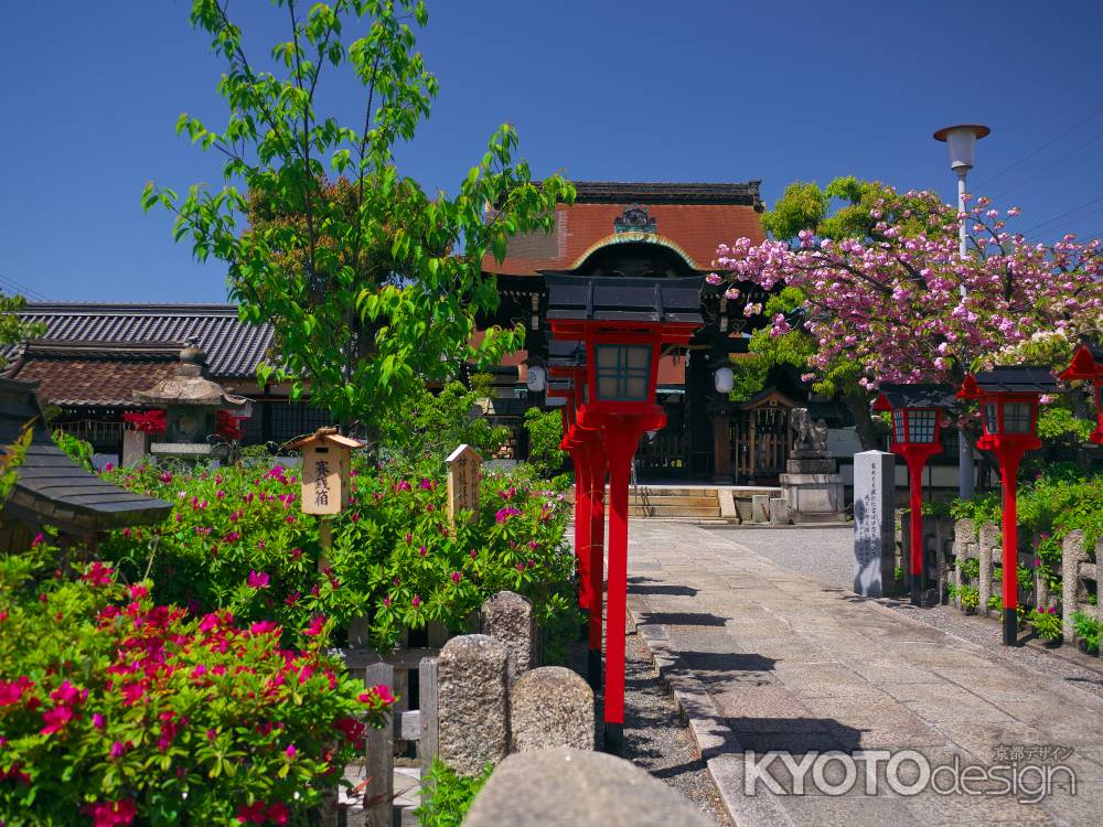 六孫王神社のツツジと八重桜