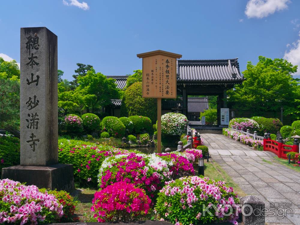 妙満寺山門のつつじ