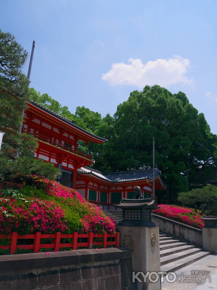 八坂神社西楼門のサツキ