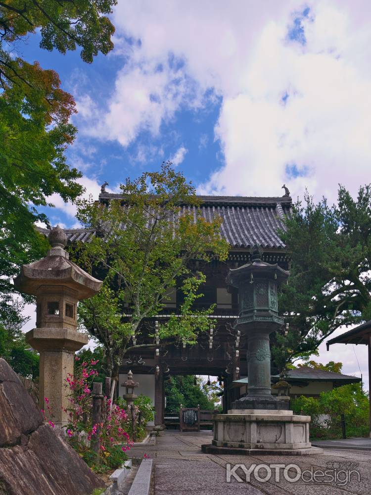 秋明菊に彩られる善峯寺の山門